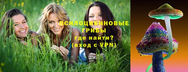 твердый Бородино