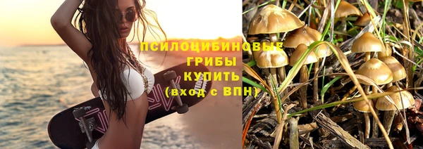 мдма Богородск