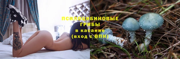 ECSTASY Бронницы